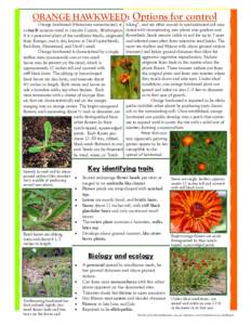 ORANGE HAWKWEED: Options for control  Orange hawkweed (Hieracium aurantiacum), is a class-B noxious weed in Lincoln County, Washington. It is a perennial plant of the sunflower family, originates from Europe, and is also