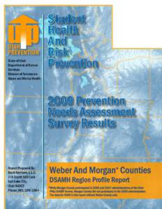 Microsoft Word - Weber And Morgan Counties Profile Report.doc