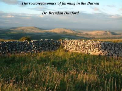 The socio-economics of farming in the Burren  Dr. Brendan Dunford Burren - Boireann – Place of Stone It is said that it is a country where there is not water enough to drown a man, wood