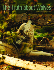 The Truth about Wolves photos By jeremie hollman 108  F L AT H E A D L I V I N G | S U M M E R[removed]