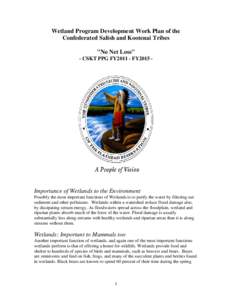 Wetland Program Development Work Plan of the Confederated Salish and Kootenai Tribes