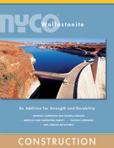 Building materials / Masonry / Pavements / Visual arts / Cement / Wollastonite / Diana Nyad / Portland cement / Cast stone / Concrete / Construction / Architecture