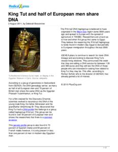 Atenism / 2nd millennium BC / Biology / DNA / Haplogroup R1 / Tut / Haplogroup / Akhenaten / Racial identity of Tutankhamun / Human evolution / Genetics / Amarna Period