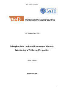 Wellbeing and the instituted processes of markets
