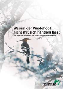 Warum der Wiedehopf nicht mit sich handeln lässt Eine Pro Natura Publikation zum Thema Weltwirtschaft und Natur Vorwort