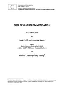 Microsoft Word - EURL ECVAM Recommendation.doc