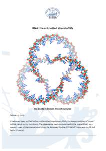 RNA:	
  the	
  unknotted	
  strand	
  of	
  life	
   	
   No	
  knots	
  in	
  known	
  RNA	
  structures	
  	
   	
   February	
  3,	
  2015	
  