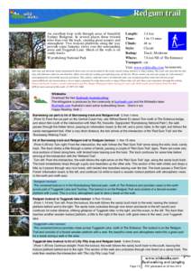 Tuggerah Lake / Redgum / Wyrrabalong National Park / Central Coast /  New South Wales / States and territories of Australia / Geography of Australia