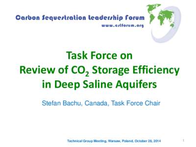 Task Force on Review of CO2 Storage Efficiency in Deep Saline Aquifers Stefan Bachu, Canada, Task Force Chair  Technical Group Meeting, Warsaw, Poland, October 28, 2014