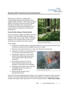 OVERVIEW: CATF’S FOREST & CLIMATE SYSTEMS PROGRAM The Clean Air Task Force is dedicated to understanding and promoting climate and air quality benefits of forests. CATF seeks to promote policies and projects that maxim