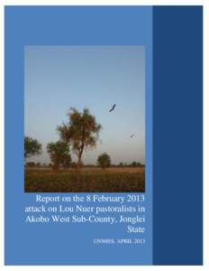 Report on the 8th February 2013 attack on Nuer community members in Wangar, Buonj payam, Akobo County, Jonglei State