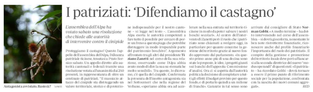 I patriziati: ‘Difendiamo il castagno’ L’assemblea dell’Alpa ha votato sabato una risoluzione che chiede alle autorità di intervenire contro il cinipide