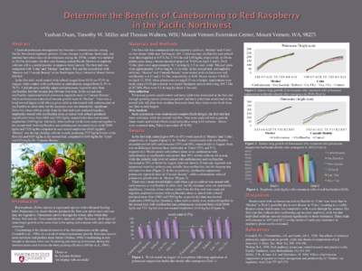 Yushan Duan, Timothy W. Miller and Thomas Walters, WSU Mount Vernon Extension Center, Mount Vernon, WA, 98273 Chemical primocane management has become a common practice among Pacific Northwest raspberry growers. Given ch