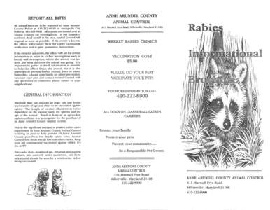 Rabies / Vaccination / Viral encephalitis / Zoonoses / Ferret / Vaccine / Bite / Bat / Rabies vaccine / Health / Medicine / Biology