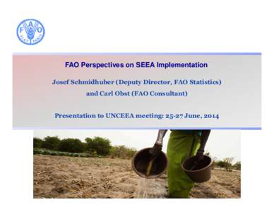 Microsoft PowerPoint - UNCEEA FAO perspectives on SEEA June2014.pptx