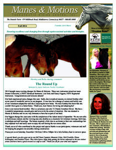 Horse anatomy / Mane / Horse / Halter / Equidae / Equus / Horse management