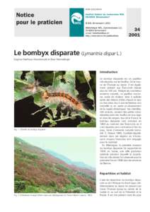 ISSN[removed]Le bombyx disparate (Lymantria dispar L.) Dagmar Nierhaus-Wunderwald et Beat Wermelinger  Introduction