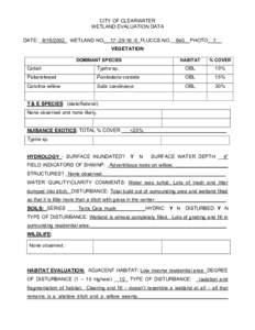CITY OF CLEARWATER WETLAND EVALUATION DATA DATE: _8/16/2002_ WETLAND NO.__17[removed]5_FLUCCS.NO.__640_ PHOTO: 7__ VEGETATION DOMINANT SPECIES