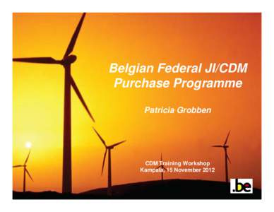 Microsoft PowerPoint - Belgian Federal Purchase Programme.pptx