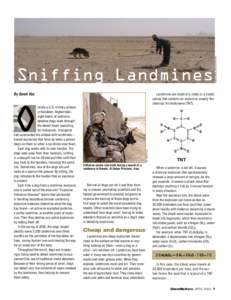 By Sarah Vos  Landmines are made of a metal or a plastic casing that contains an explosive, usually the chemical trinitrotoluene (TNT).