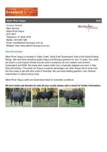Angus cattle / Angus / Cattle / Brangus / Livestock