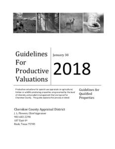Guidelines For Productive Valuations  January 30