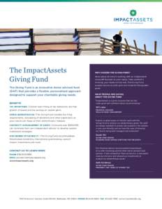 Donor advised fund / Mutual fund / Private equity / Financial adviser / Stock fund / National Philanthropic Trust / California Community Foundation / Financial economics / Investment / Finance
