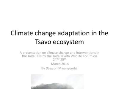 Systems ecology / Taita Thrush / Turdidae / Forestry / Biodiversity / Taita Hills / Taita people / Forest / Tree planting / Trees / Environment / Biology