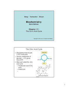 Biochemistry / Pyruvate dehydrogenase complex / Dihydrolipoyl transacetylase / Citric acid cycle / Acetyl-CoA / Pyruvate dehydrogenase / Citrate / Pyruvic acid / Glycolysis / Biology / Cellular respiration / Metabolism