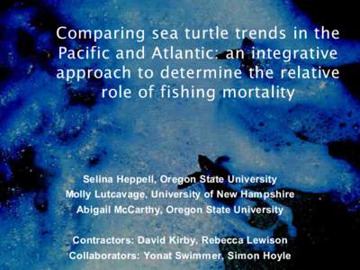 Comparing sea turtle trends in the Pacific and Atlantic: an integrative approach to determine the relative role of fishing mortality  Selina Heppell, Oregon State University