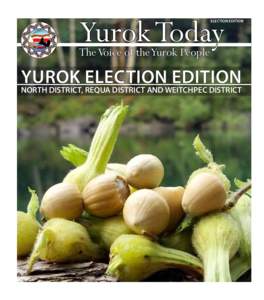 Yurok Today  ELECTION EDITION The Voice of the Yurok People