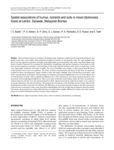 Journal of Tropical Ecology[removed]:543–553. Copyright © 2006 Cambridge University Press doi:[removed]S026646740600352X Printed in the United Kingdom Spatial associations of humus, nutrients and soils in mixed dipter