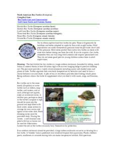 North American Box Turtles (Terrapene) Compiled from : Box Turtle Care and Conservation Gulf Coast Turtle and Tortoise Society Florida Box Turtle (Terrapene carolina bauri) Eastern Box Turtle (Terrapene carolina carolina