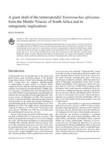 Paleozoology / Temnospondyli / Parotosuchus / Paracyclotosaurus / James Kitching / Lydekkerinidae / Benthosuchus / Cynognathus / Beaufort Group / Temnospondyls / Phanerozoic / Mesozoic