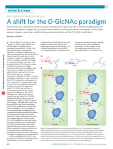 Cell biology / Carbohydrate chemistry / Carbohydrates / Glycosylation / Phosphorylation / Chemical biology / Gene expression / N-Acetylglucosamine / O-linked glycosylation / Biology / Chemistry / Posttranslational modification