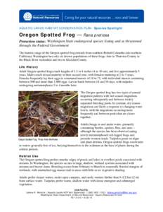 AQUATIC LANDS HABITAT CONSERVATION PLAN- Species Spotlight  Oregon Spotted Frog — Rana pretiosa