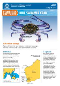PUBLISHED MARCH 2011 FISHERIES Blue swimmer crab FACT SHEET
