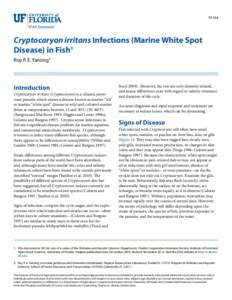 FA164  Cryptocaryon irritans Infections (Marine White Spot Disease) in Fish1 Roy P. E. Yanong2
