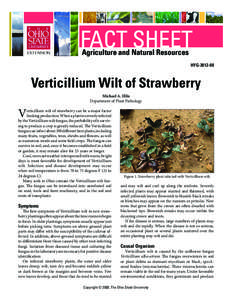 FACT SHEET Agriculture and Natural Resources HYG[removed]Verticillium Wilt of Strawberry