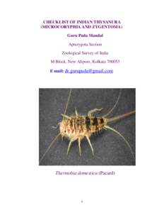 Thysanura / Ctenolepisma / Phyla / Protostome / Lepismatidae