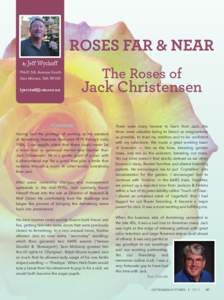 Recreation / Garden roses / Jackson & Perkins / Floribunda / Hybrid Tea / Roses / Botany / Agriculture