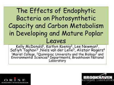 The Effects of Endophytic Bacteria on Photosynthetic Capacity and Carbon Metabolism in Developing and Mature Poplar Leaves