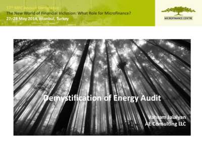 Demystification of Energy Audit Vahram Jalalyan AE Consulting LLC AE Consulting LLC is a private, employee-owned, consulting and full service architectural & engineering design company located in Yerevan, Armenia.