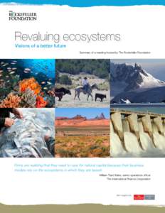 Revaluing ecosystems Visions of a better future Summary of a meeting hosted by The Rockefeller Foundation  Firms are realizing that they need to care for natural capital because their business