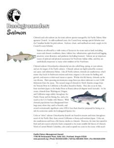 Backgrounder:  Salmon Chinook and coho salmon are the main salmon species managed by the Pacific Fishery Management Council. In odd-numbered years, the Council may manage special fisheries near the Canadian border for pi