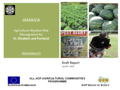 + JAMAICA Agriculture Weather Risk Management for St. Elizabeth and Portland