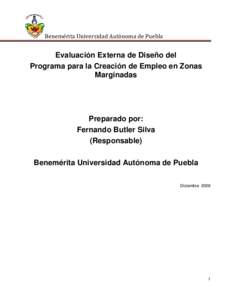 Benemérita Universidad Autónoma de Puebla  Evaluación Externa de Diseño del Programa para la Creación de Empleo en Zonas Marginadas