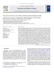 Structure and water permeability of fully hydrated diphytanoylPC