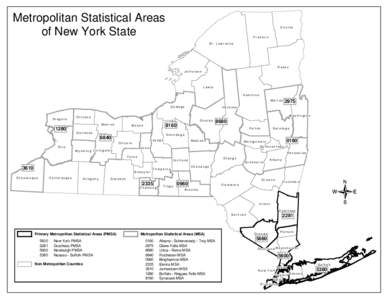 Metropolitan Statistical Areas of New York State Clinton Franklin St. Lawrence