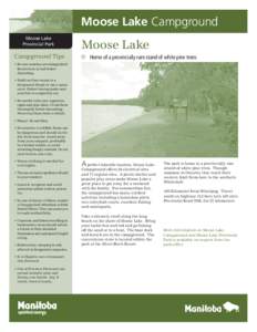 moose_lake_campground_web